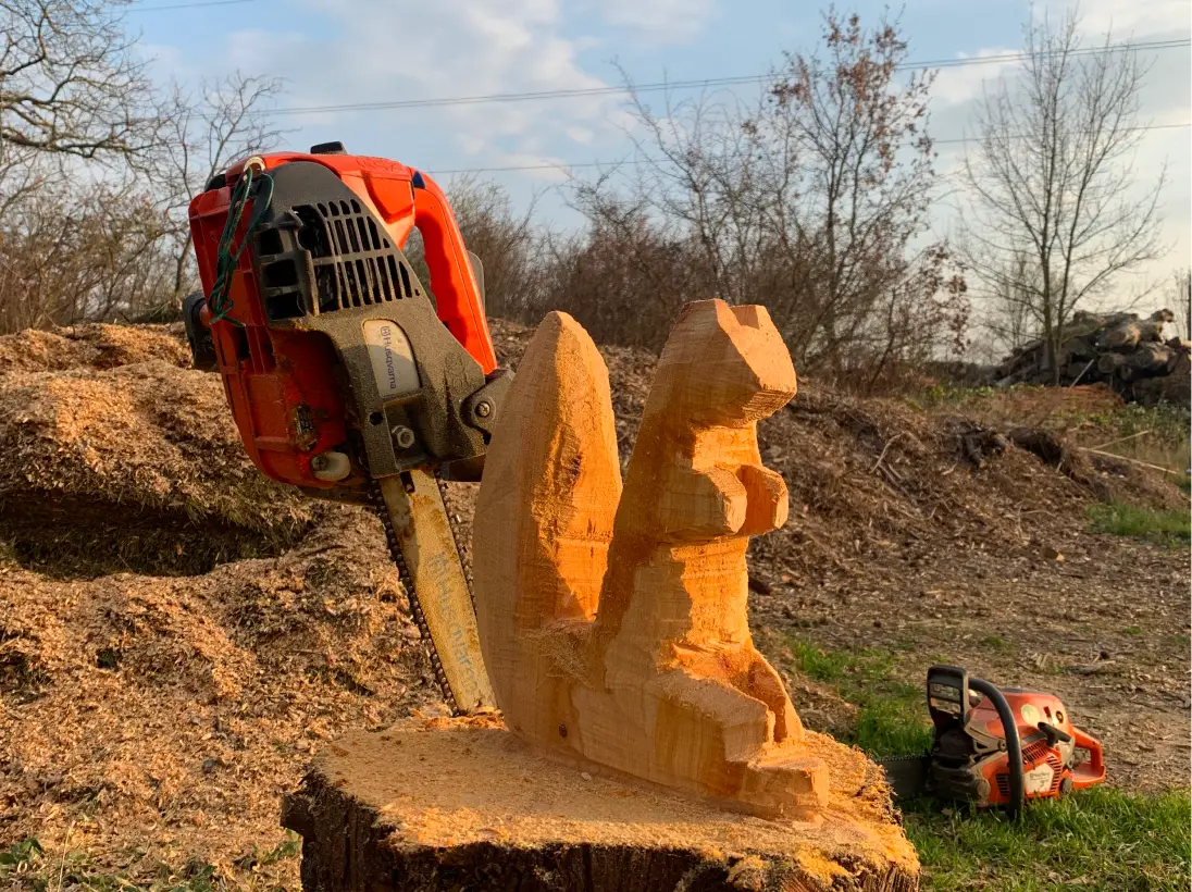 Lecureuil Vert Elagage Et Abattage Nimes Nos Realisations 01