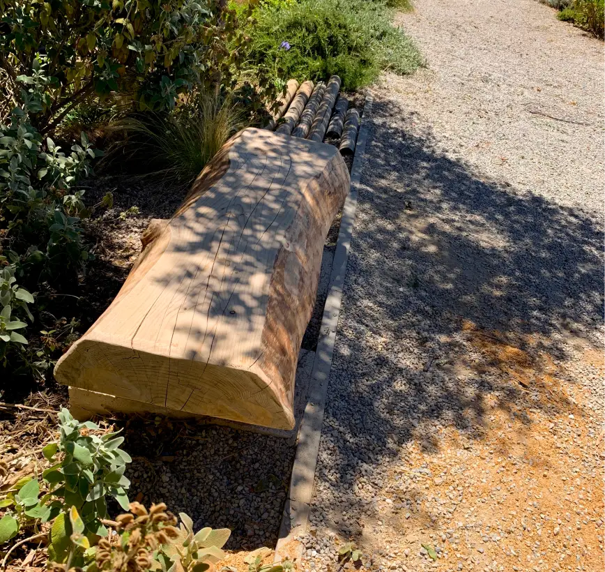 Lecureuil Vert Elagage Et Abattage Nimes Nos Realisations 03