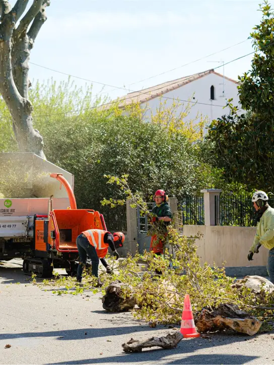Lecureuil Vert Elagage Et Abattage Nimes Travaux Au Sol Entretien Du Terrain Lecureuil Vert Elagage Et Abattage Nimes Travaux Au Sol Entretien Du Terrain